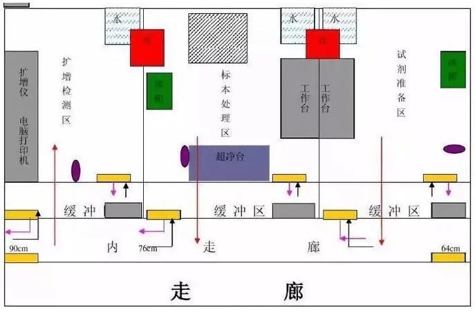 pcr-1.jpg